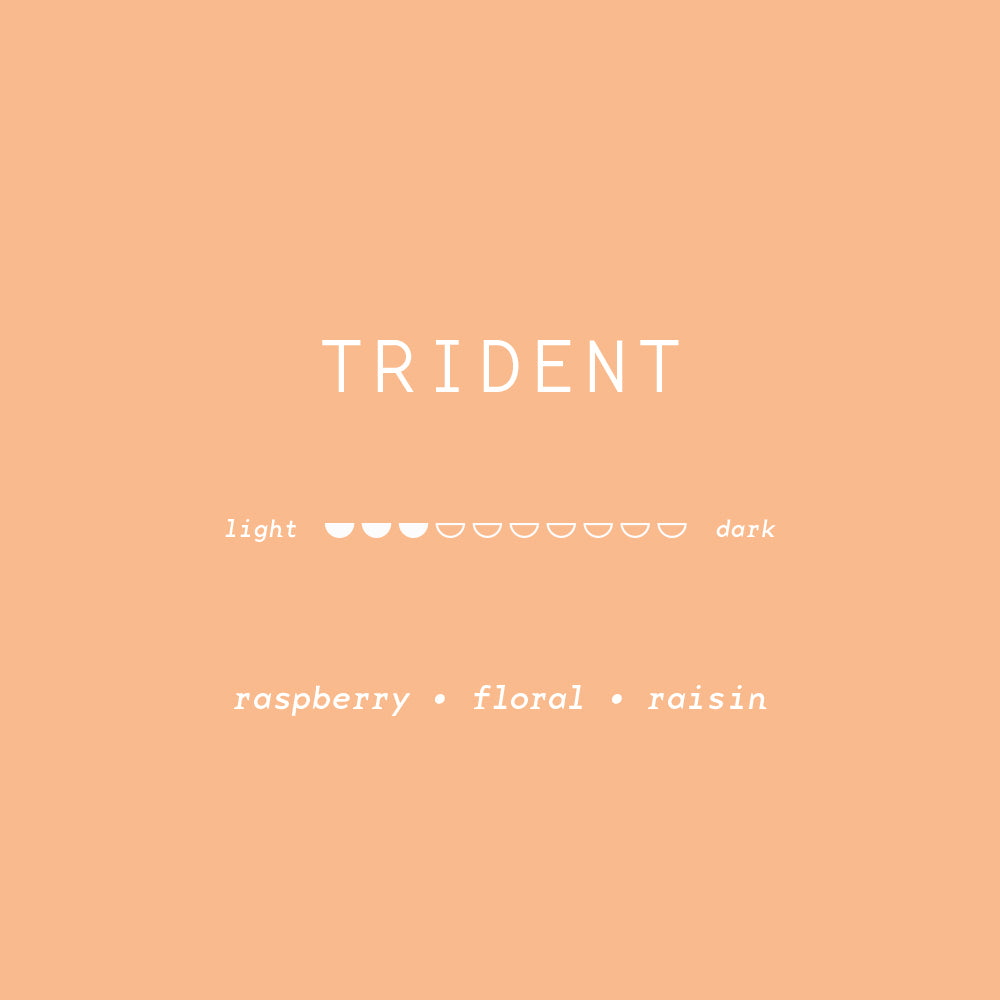 TRIDENT