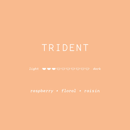 TRIDENT
